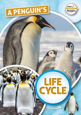 Cover: A Penguin's Life Cycle