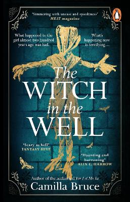 Cover: The Witch in the Well