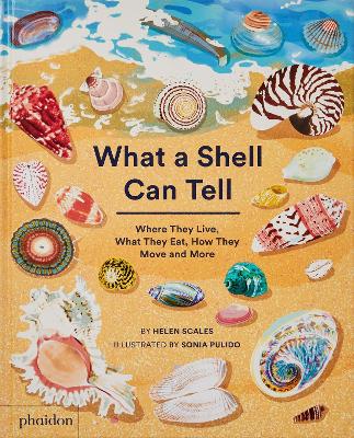 Cover: What A Shell Can Tell