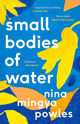 Cover: Small Bodies of Water