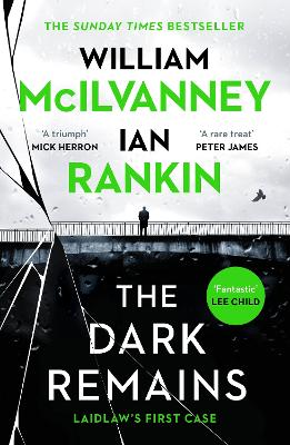 Cover: The Dark Remains
