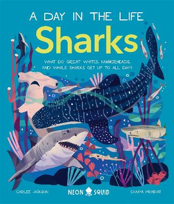 Cover: Sharks (A Day in the Life)