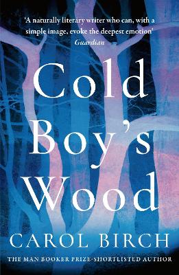 Cover: Cold Boy's Wood
