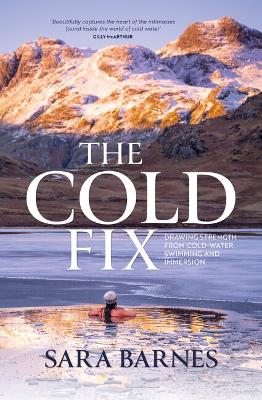 Cover: The Cold Fix