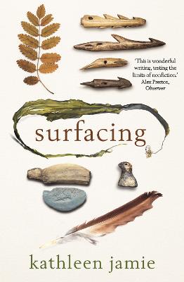Cover: Surfacing