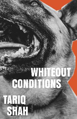 Cover: Whiteout Conditions