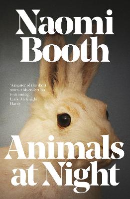 Cover: Animals at Night
