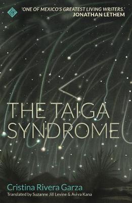 Cover: The Taiga Syndrome