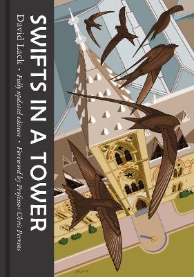 Cover: Swifts in a Tower