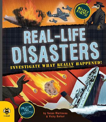 Cover: Real-life Disasters