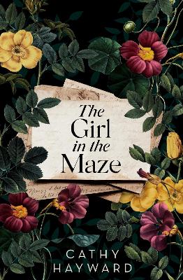 Image of The Girl in the Maze