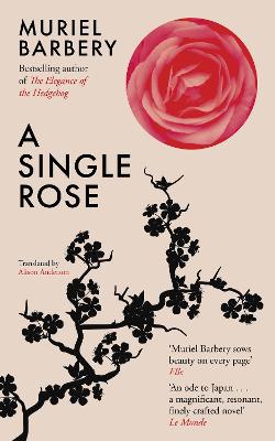 Image of A Single Rose
