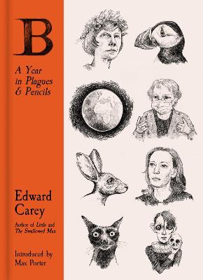 Cover: B: A Year in Plagues and Pencils