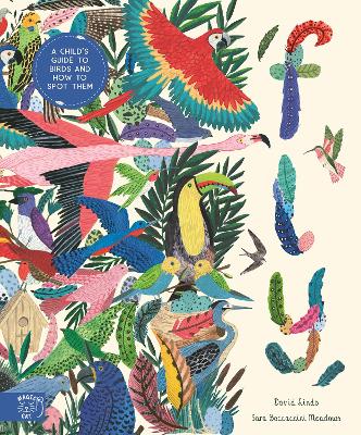 Image of Fly: Shortlisted for the Wainwright Prize for Children's Nature and Conservation Writing 2024