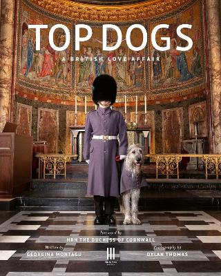 Cover: Top Dogs