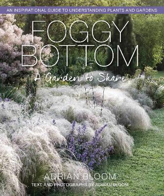 Image of Foggy Bottom