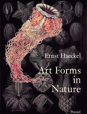 Cover: Art Forms in Nature